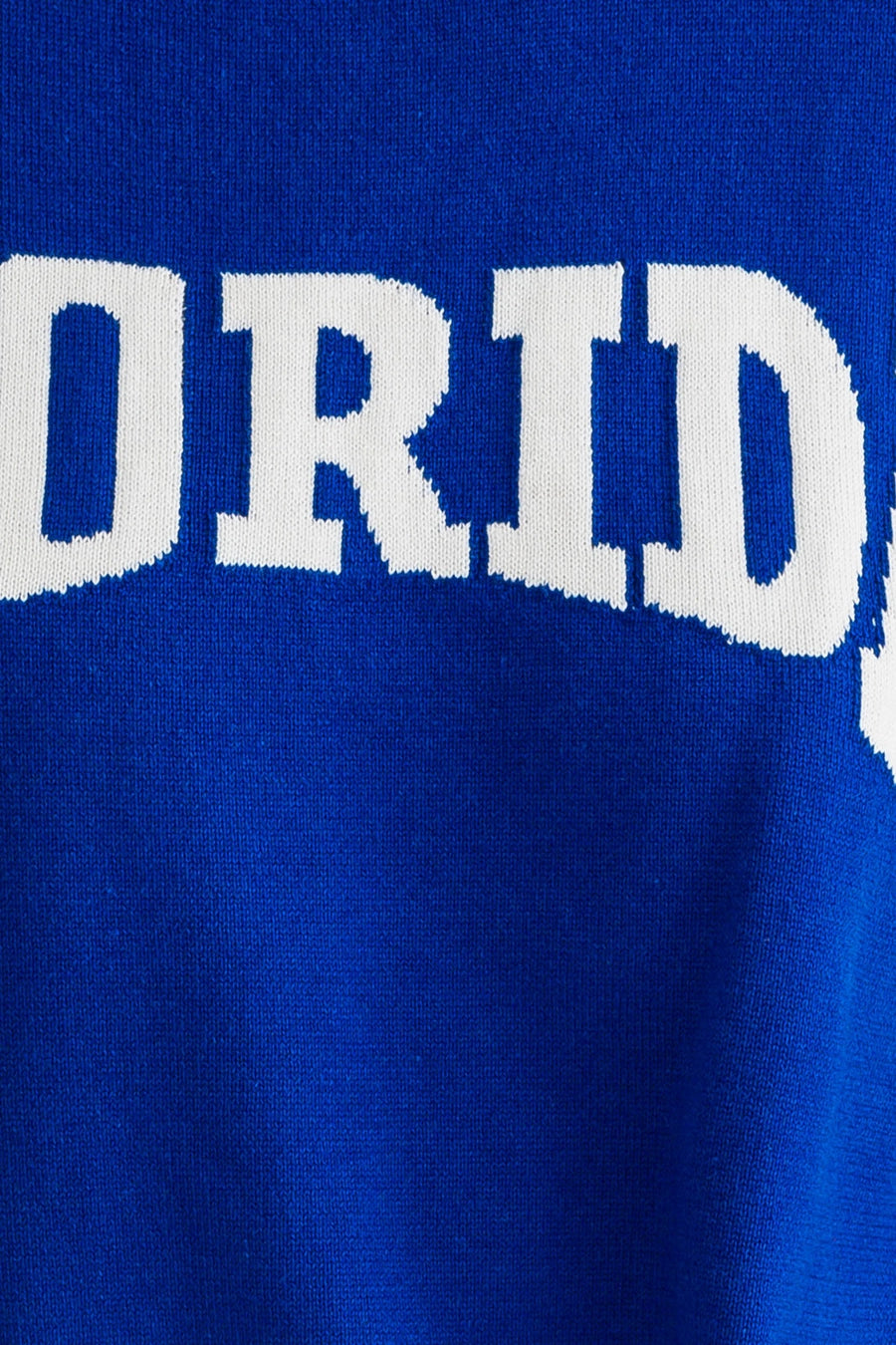 Game Day Florida Sweater