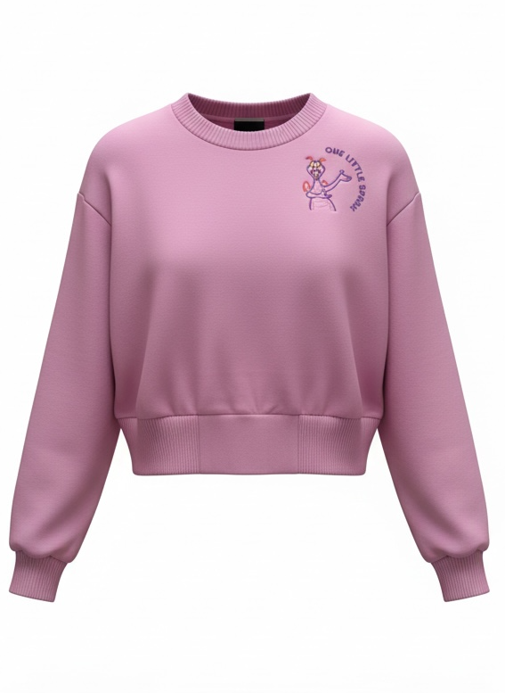 One Little Spark Crop Sweatshirt